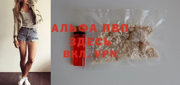 ешки Арсеньев