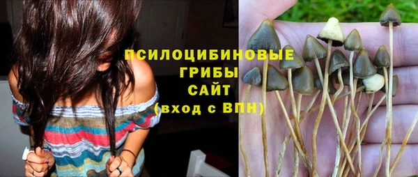дмт Аркадак