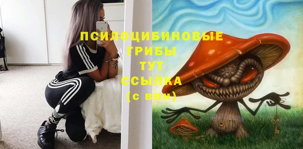 дмт Аркадак