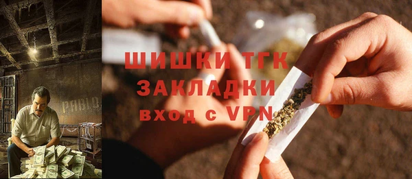 ешки Арсеньев